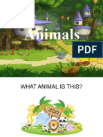 Animals 2