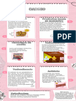 Infografía de Proceso Notas de Papel Aesthetic Rosa Blanco_20240312_175749_0000