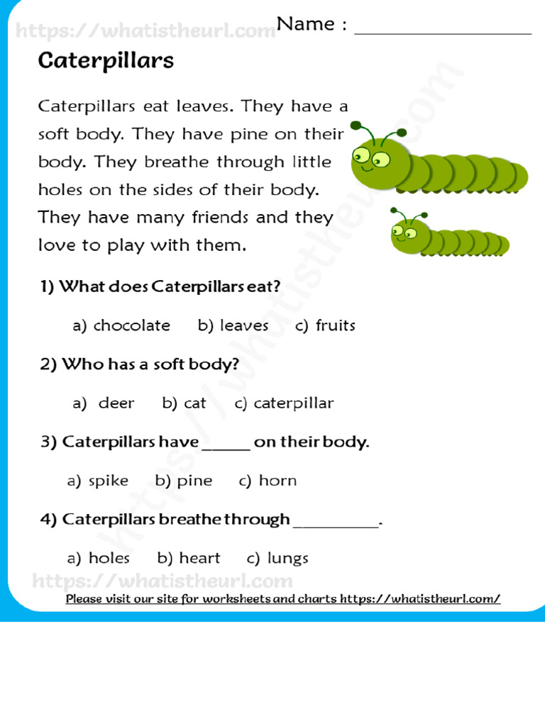 Reading visual data 6
