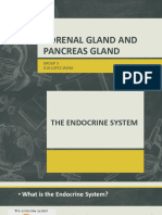 Science Group 3 (Adrenal & Pancreas)