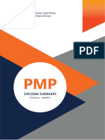 PMP Summary 1711305146