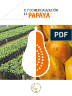 PNUD Cuba Papaya Cultivo Comercialización