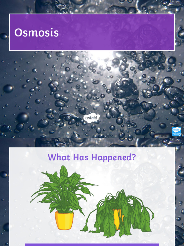 Osmosis Presentation Pdf