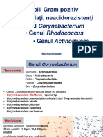 LP 4 Microbiologie