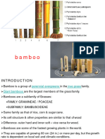 Bamboo 1