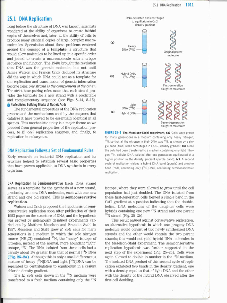 BIOC303 B8 L24 Supplement | PDF