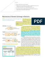 Figure of Genetics of Bacteria