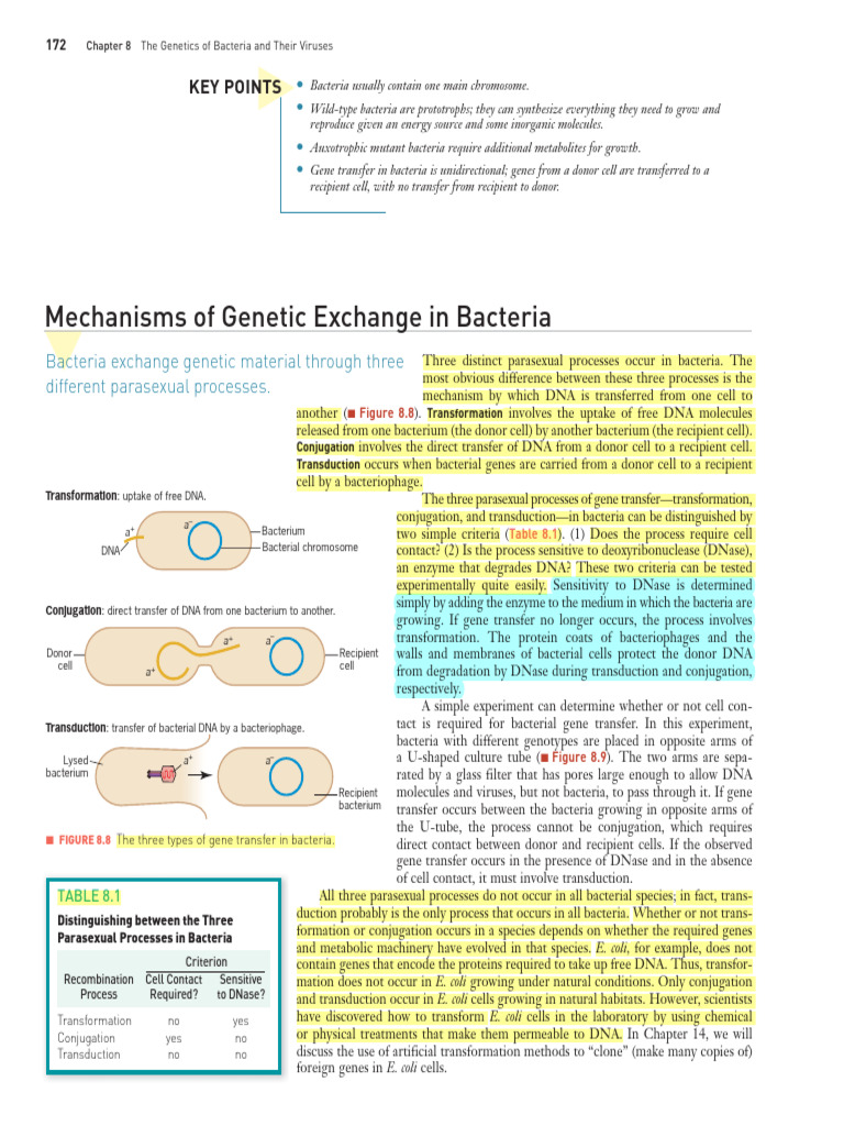 Bacterial Gene Transfer Mechanisms Explained | PDF | Transformation ...