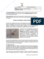 1.1 - Drones Emergencia