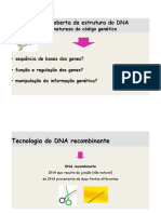 3.1. Enzimas de Restricao