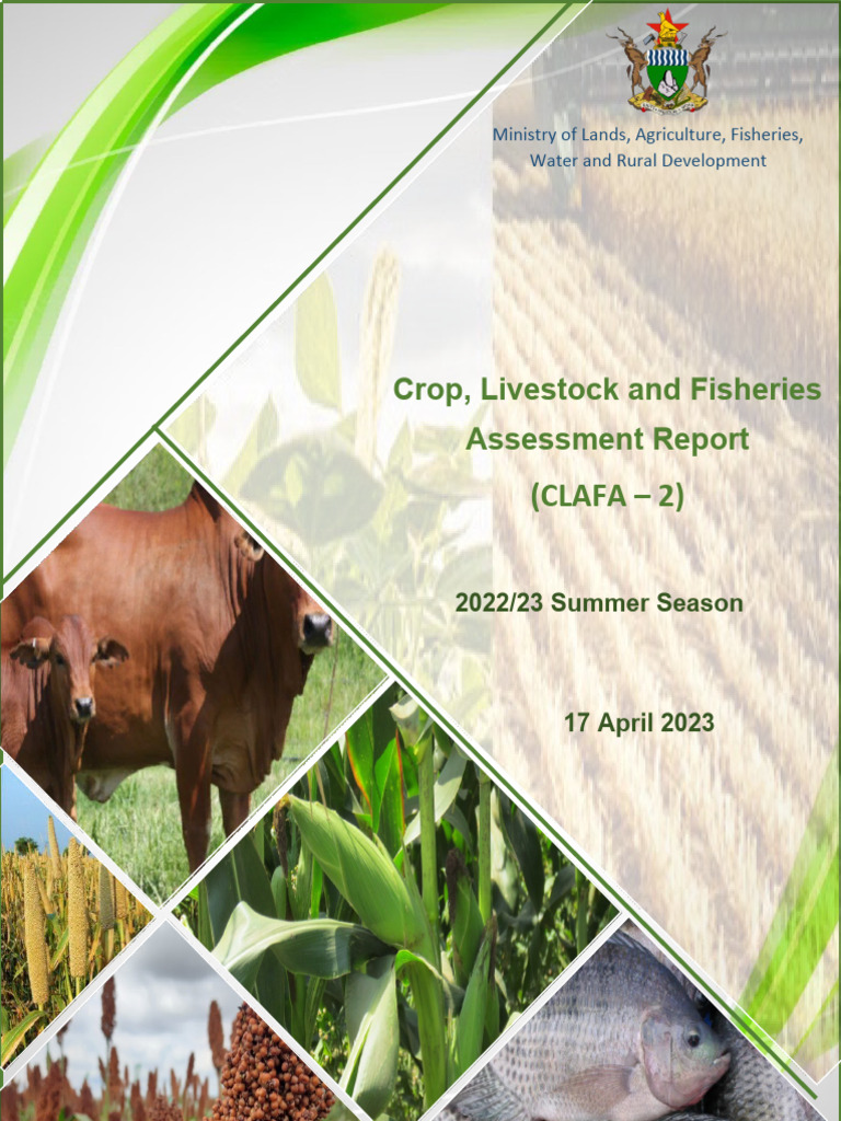 2022/23 Crop and Livestock Assessment | PDF | Cereals | Agriculture