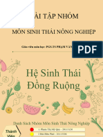 Nhom 5 - Dong Ruong