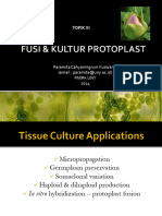 Mita 1kultur Protoplast