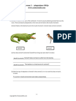 Psle Ws p6 Adaptations Lesson 2 Oeqs On Adaptations