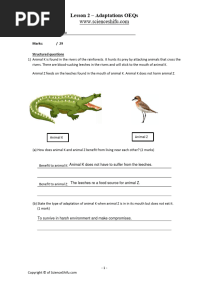 Psle Ws p6 Adaptations Lesson 2 Oeqs On Adaptations