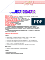 0 Proiect Didactic Ds Activitate Matematica