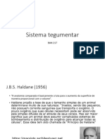 Teórica Sistema tegumentar e seus derivados 2023