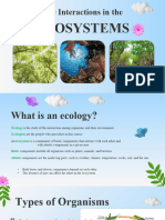 Final - Interactions in The Ecosystem - Group3