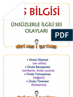 Ses Bilgisi - Ünsüzler