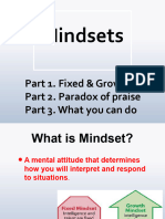 Mindset Presentation Jan 2013