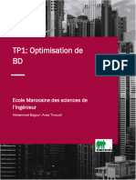 TP Optimisation BD