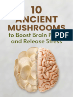 Ancient Mushrooms Boost Brain Power and Release Stress