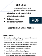 CE 9 - 2-3 (Alkoholsucht, Leberzirrhose) Dr. J. Ehmke-Meißner
