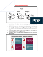 PATOLOGIA Pene