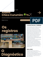 Aldeia Chico Curumin - Relatório - ABP1