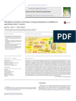 P3 - Zhu Et Al 2018 - Phosphorus Activators Review