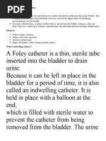 Foley Catheter Use and Care Guide | PDF | Urinary Incontinence | Catheter