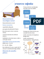 Distúrbios Urinários Infantis