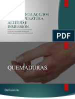 Trastornos Agudos Por Temperatura, Altitud e Inmersión