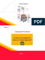 S07.1 - Fisiología de La Respiración, Hematosis