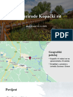 Kopački Rit