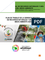 Plan de Trabajo de Gerencia Regional de Recursos Naturales y Gestión Del Medio Ambiente