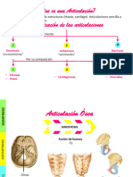 Sistema Articular Generalidades Guia