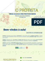 Aula 03 - Reino Protista