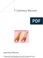 Agent of Cutaneous Mycoses
