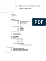 MITOSES CHROMOSOMES CARYOTYPE