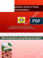 Mikroorganisme Dalam Fermentasi Pangan