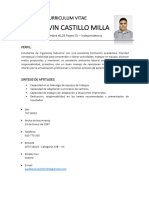 CV Paul Kevin Castillo Milla P