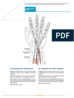 PDF Goniometria e Avaliação de Força - Passei Direto3