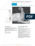 PDF Goniometria e Avaliação de Força - Passei Direto4