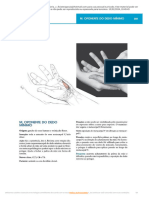 PDF Goniometria e Avaliação de Força - Passei Direto2