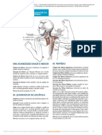 PDF GONIOMETRIA E AVALIAÇÃO DE FORÇA - Passei Direto6