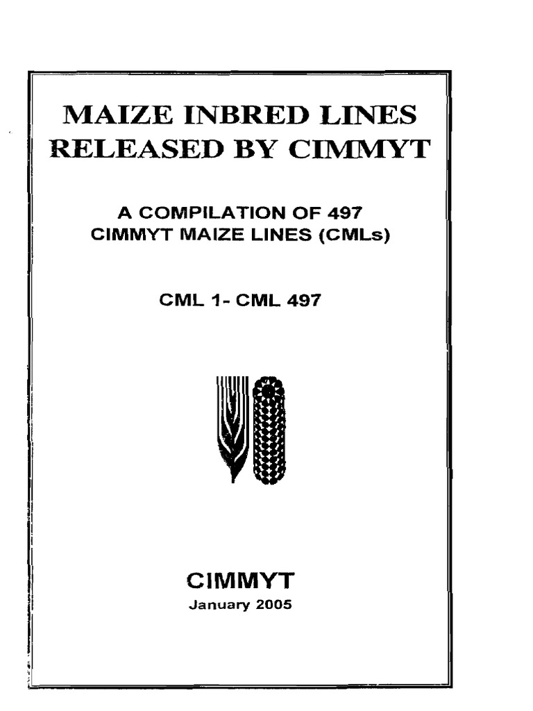 Maize Inbred Lines Released by Cimm:Yt | PDF | Cereals | Maize