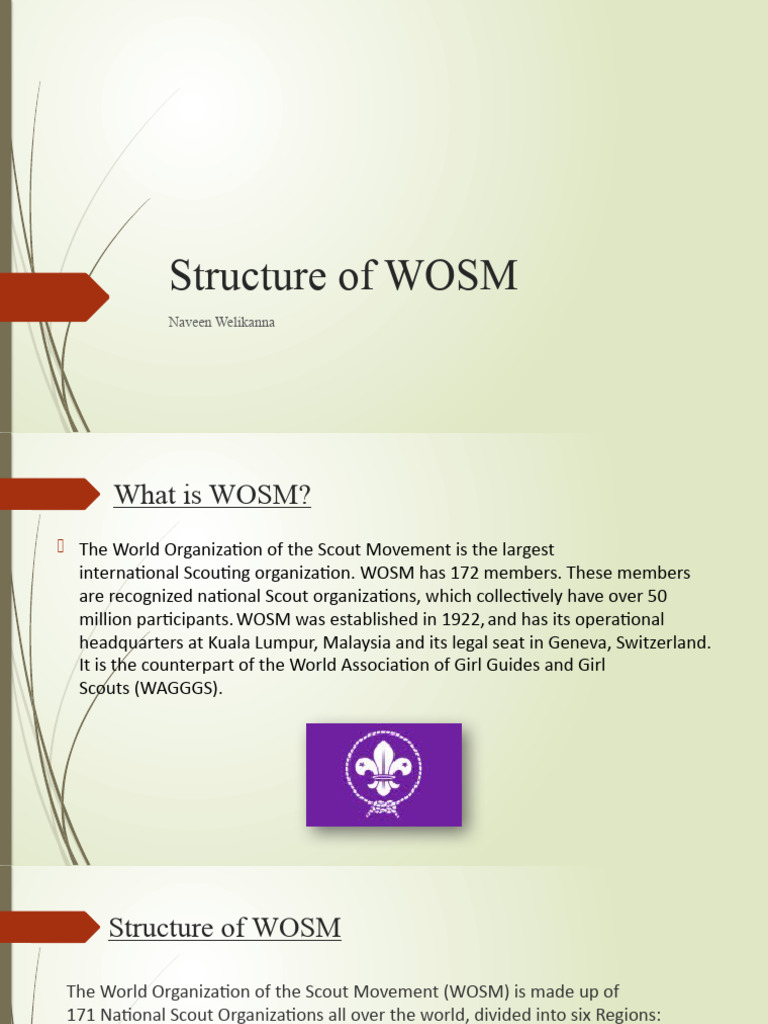 Structure and Overview of WOSM | PDF