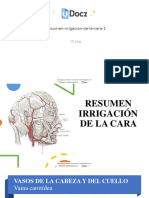 Resumen Irrigacion de La Cara 1 157634 Downloable 1036146