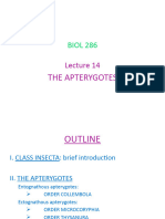 BIOL 286 Lecture 14 THE APTERYGOTES With Annotations